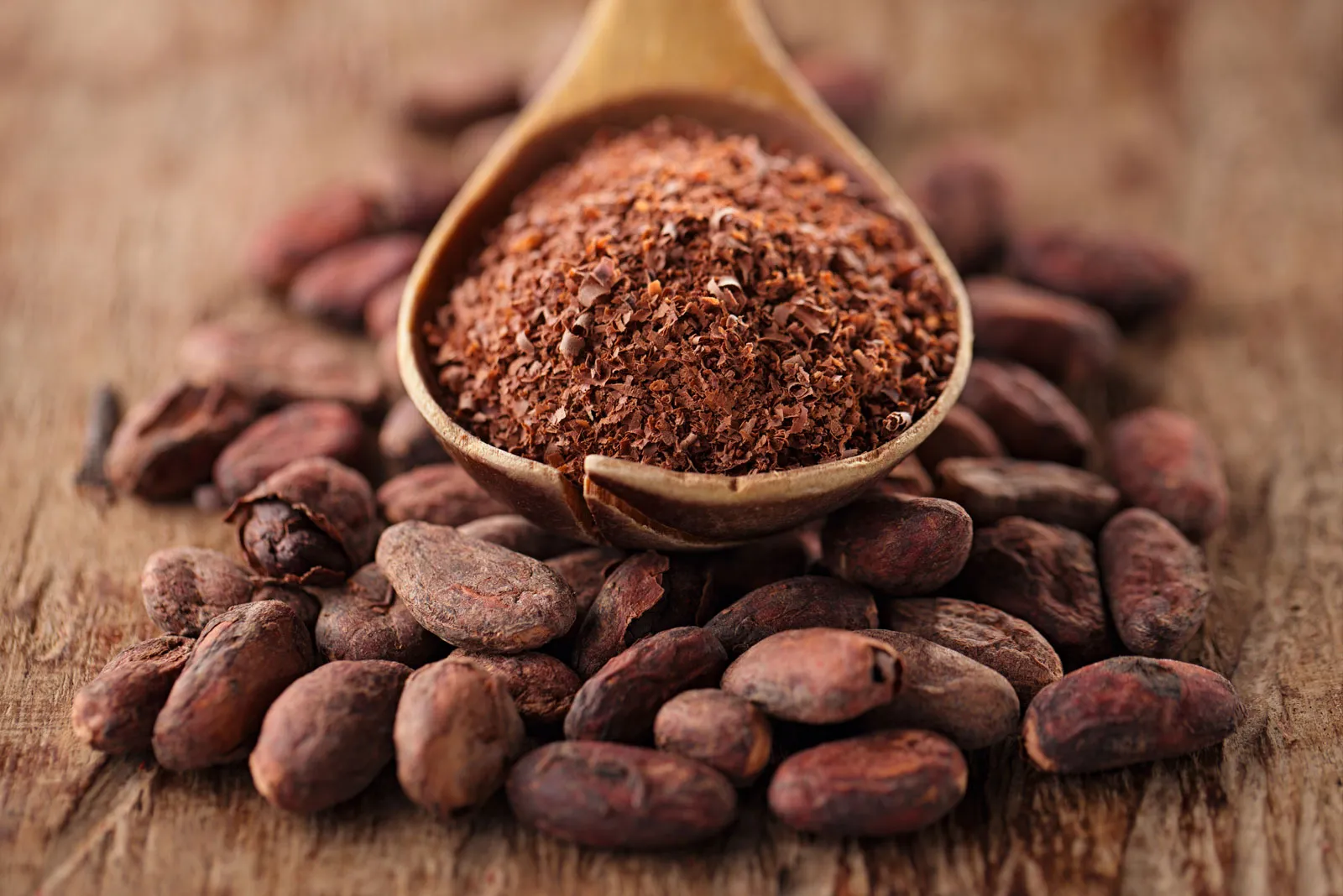 Cocoa powder and cocoa ingredients